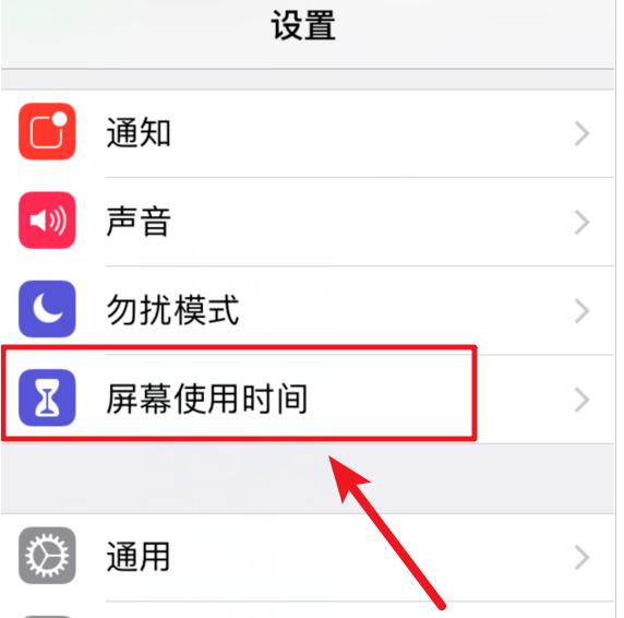 iOS 12 如何禁止删除已下载的应用？