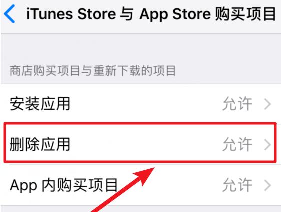 iOS 12 如何禁止删除已下载的应用？