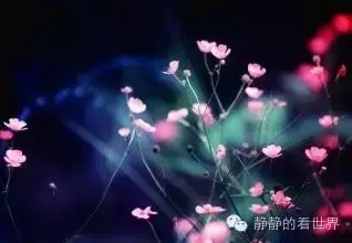 苹果关机充电显示什么是在充电