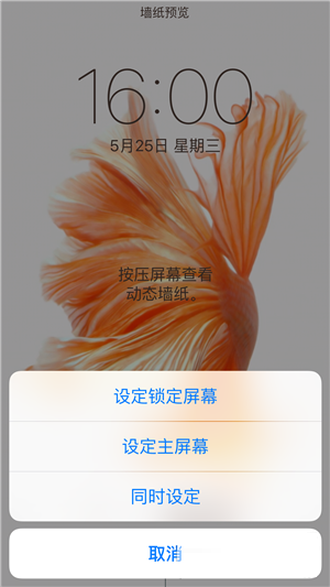 iPhone6s动态壁纸动不了怎么办？如何设置