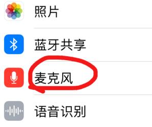 苹果手机游戏麦克风权限打开方法讲解截图