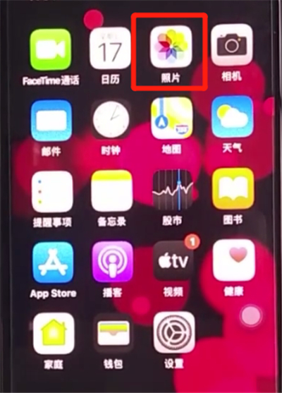 iphone11中恢复被删除照片的方法步骤截图