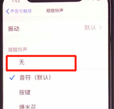 iphone11中关闭短信铃声的详细方法截图