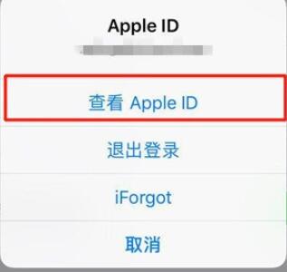 iPhone11pro max关闭自动订阅的操作流程截图