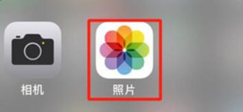 iPhone11pro max进行搜索照片的操作步骤截图