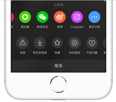 iPhone中下载无水印抖音视频方法截图