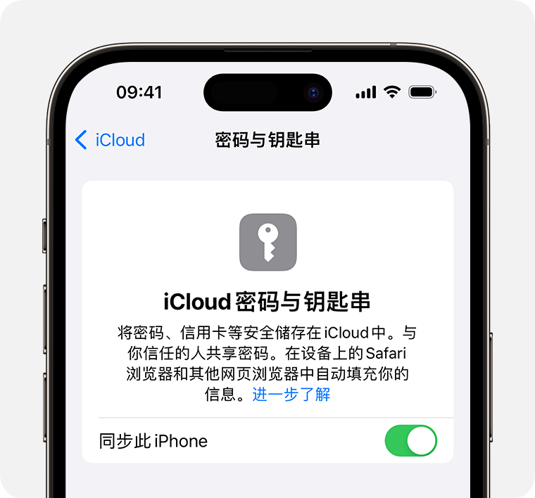 如何在 iPhone 15 系列机型中使用钥匙串？