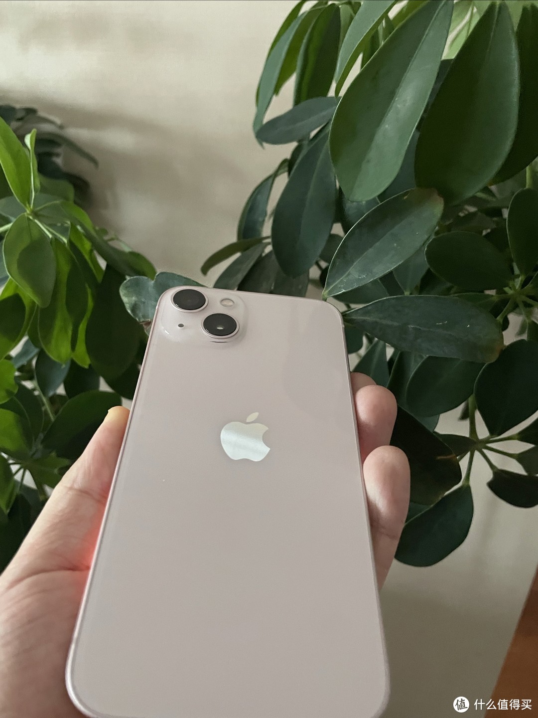 别种草iPhone 13，买15不杀后台还好用。