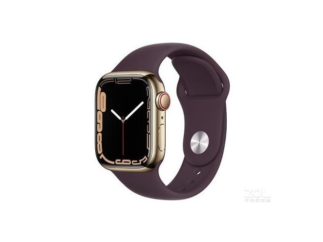 Apple Watch Series 7 41mm（蜂窝款/不锈钢表壳/运动表带）