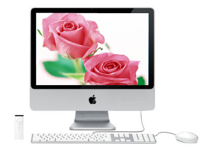 iMac(MB420CH/A）