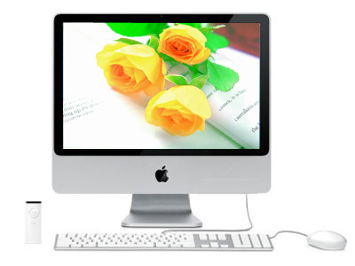 iMac(MB419CH/A）