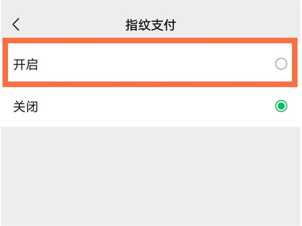 苹果13微信如何启用指纹支付？苹果13设置微信指纹付款教程截图