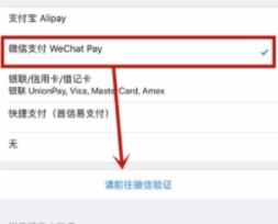 苹果手机绑定微信付款的操作教程截图
