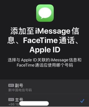 iPhone 11设置双卡双待功能的详细讲解截图